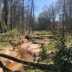 Meet your Posher, Meredith